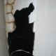 Αντικατάσταση Καπνοδόχου 1